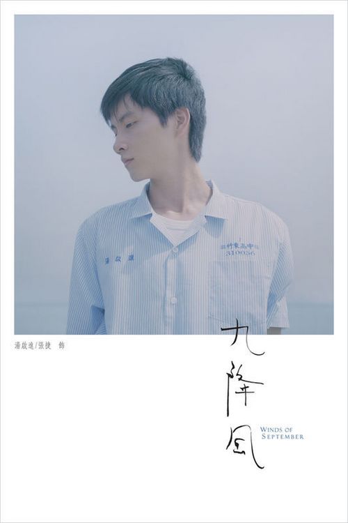 新不伦瑞克省哪里可以做假的